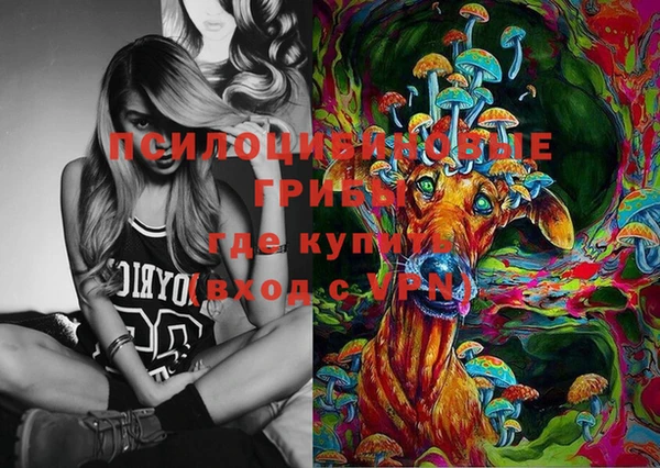 шишки Беломорск