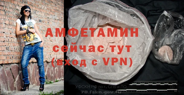 шишки Беломорск