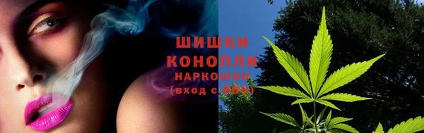 шишки Беломорск