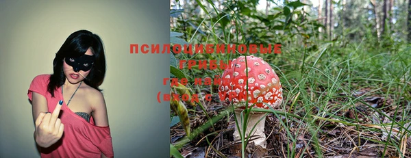 таблы Белоозёрский