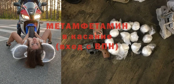 шишки Беломорск
