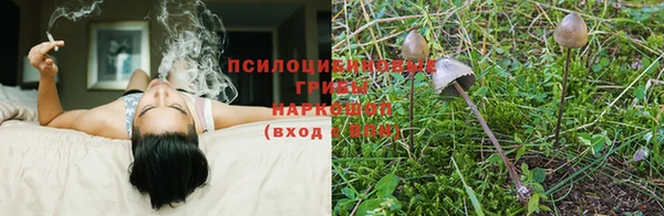 mdma Зеленодольск