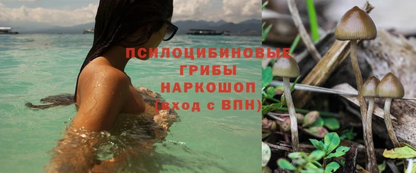 кокаин премиум Белокуриха