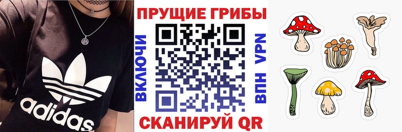 закладки Сковородино Псилоцибиновые грибы мухоморы